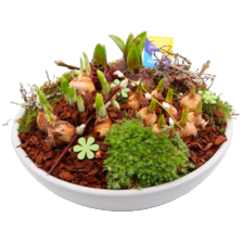 Arrangement schaal keramiek